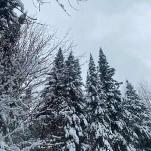 Meet your Posher, Camille